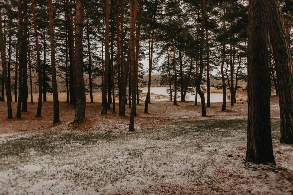 Gaujaupe Villa Gauja  Bagian luar foto