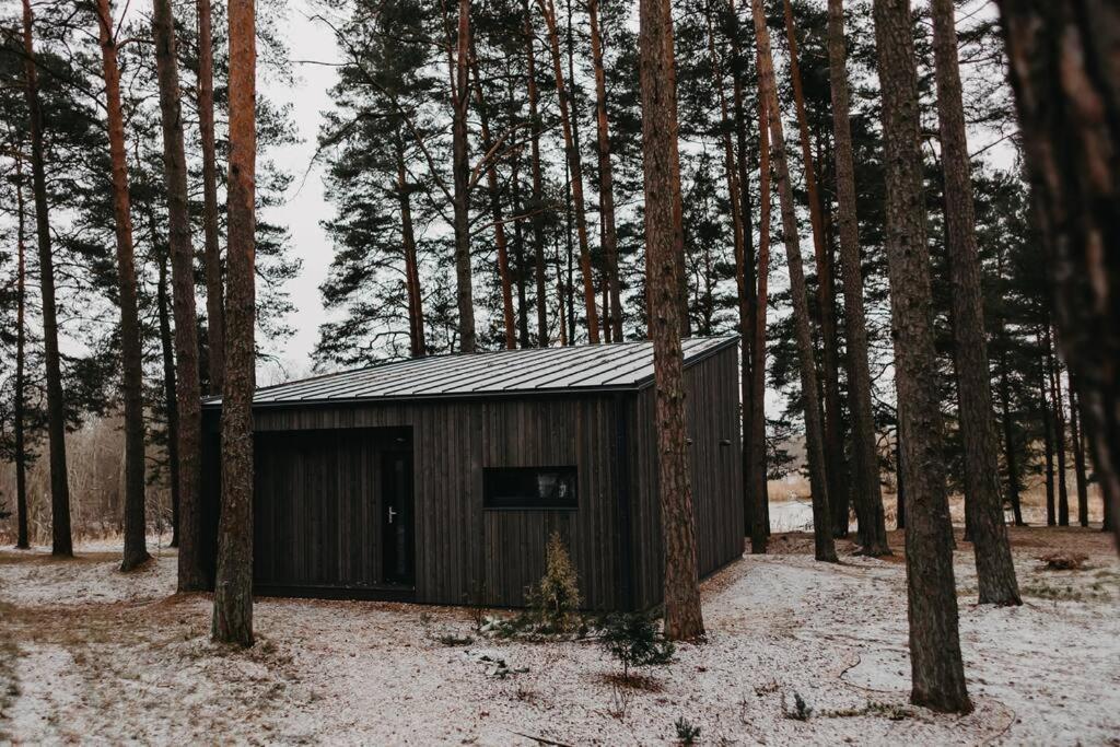 Gaujaupe Villa Gauja  Bagian luar foto
