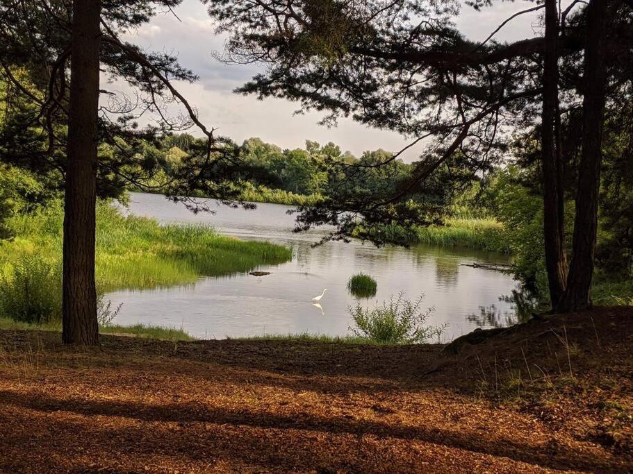 Gaujaupe Villa Gauja  Bagian luar foto