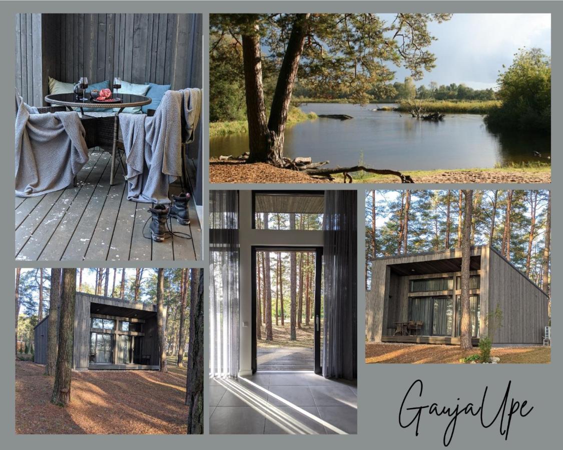 Gaujaupe Villa Gauja  Bagian luar foto